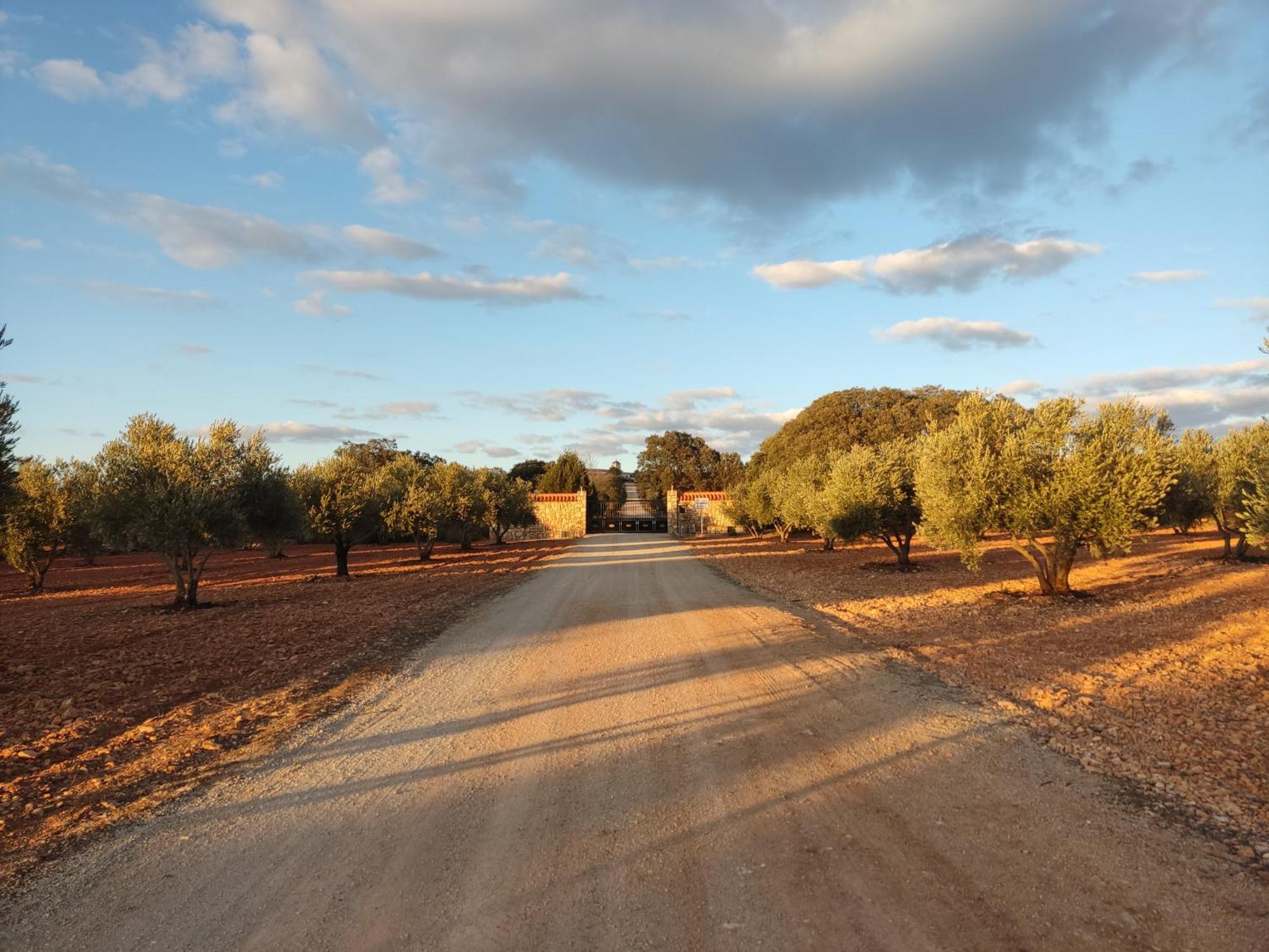 Villa Cerro Moreno Ossa de Montiel Εξωτερικό φωτογραφία
